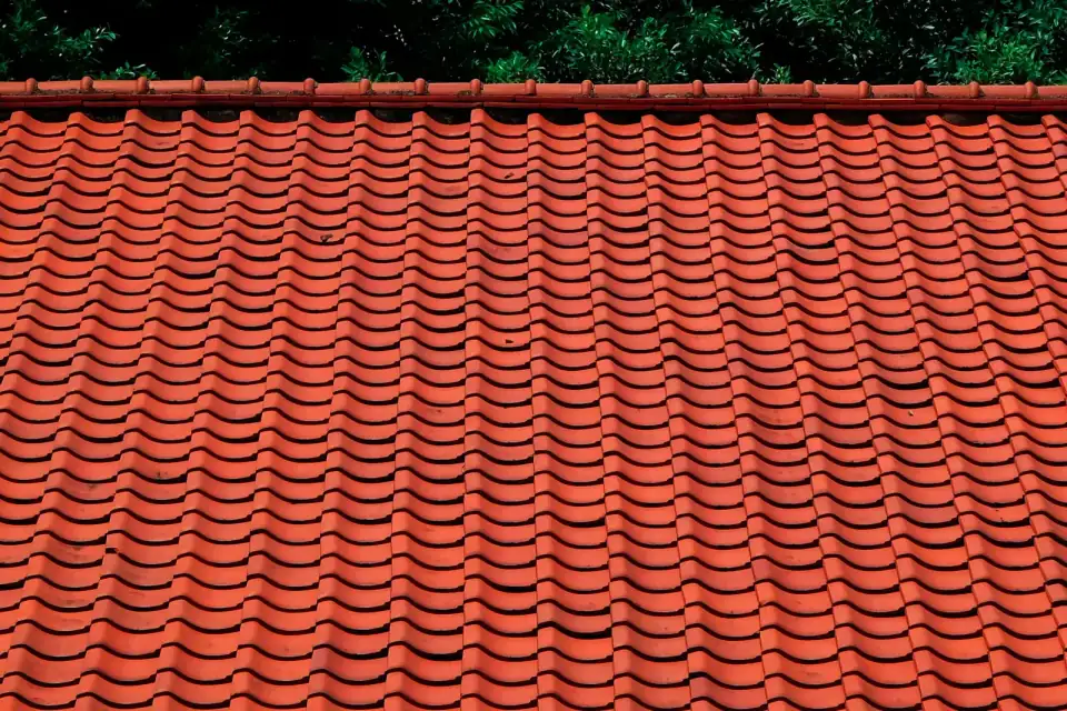 Oranje dakpannen op een schuin dak, met bomen op de achtergrond